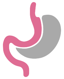 Gastric Sleeve Surgery Stomach Icon